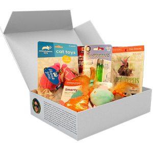 Cat Gift Box