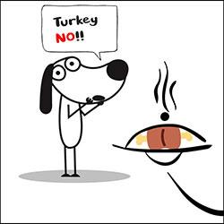 turkey no
