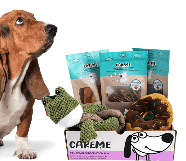 Subscription box for dogs Monthly or Seasonal box sitename